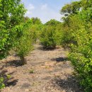 고성탑공인중개사사무소 이미지