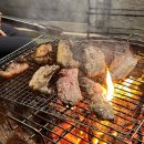 근흥농장 | 충남 태안 갯벌체험 펜션♪ 태안 독채펜션 클럽티지엠