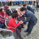 쌍치 추령천 벚꽃축제 이미지