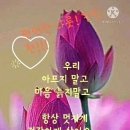 오늘의 운세-근자필성(勤者必成) 이미지