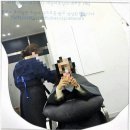 엠제이피부과굿모닝어학원빌딩 | 대전 둔산동 미용실 추천, 에이노이헤어 대전둔산2호점에서 받은 맞춤 케어 후기^^!