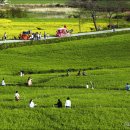 수잔메디 티스토리