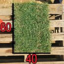 삼일농장 이미지