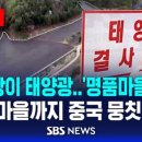 명품태양광발전소 이미지