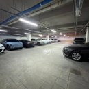 주정차단속-16 | 신부관리부터 산전산후케어까지 마사지 고수가 인정하는 인생 에스테틱샵 내돈내산 솔직 후기