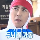 도기펫