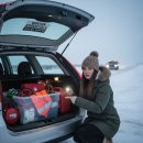 프로카 정비 이미지