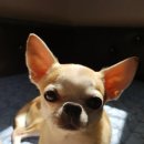 예천장례식장