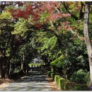 성모당(聖母堂) 이미지