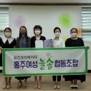 홍주여성늘솜협동조합 케이에스피뉴스