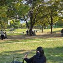 그늘막117 | 여의나루 피크닉 대여 [별빛텐트] 내돈내산 후기 18000원의 행복