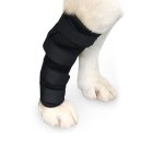 펫츠런 애견 이미지