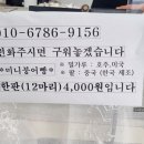 노암572 이미지