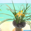 신안센터-17 이미지