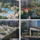 남천금호어울림더비치 이미지