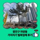 광진구 자양동 가지치기 벌목업체 후기