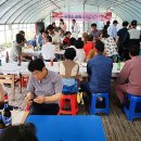 동명초등학교 이미지