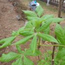 하늘이네 농장 이미지