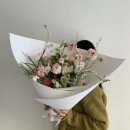 팔레드라팡