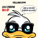 옐로우짐 내당점 네이버블로그