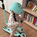 대흥동 유아숲체험원 이미지