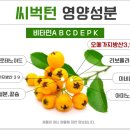 어떤나무K