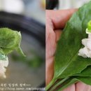 윤희네농장 이미지
