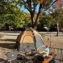 유명산밸리 캠핑장 이미지