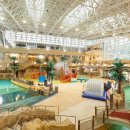 비발디파크사우나 이미지