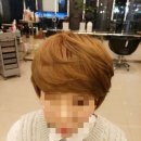 호박미용실 - 태안군 원이로 835 | 호박미용실