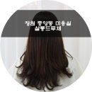 살롱드루체 네이버블로그