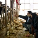 종은목장 3 이미지