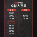 페인스톰 잠실 | 잠실크로스핏 페인스톰 잠실새내 초보자 와드 후기