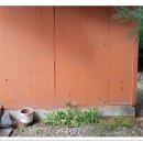 금관분교 병설유치원 이미지