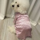 사계절 옷 이미지