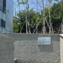 동천민박 | 혜빈이랑 군위 여행 (With 리리네 민박 후기)