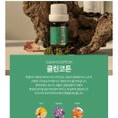 장미속옷 | 내돈내산 디오넬 이너퍼퓸 3년차 후기, 속옷 향수 Y존케어