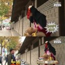 햅삐