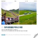 (주)천지국제여행사 이미지