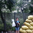 미성자원 이미지