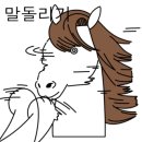 천상애장어가 이미지
