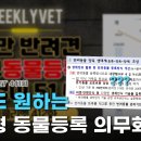위클 이미지