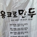 용코로만두 | 부천 손만두 맛집 용코로만두 후기