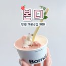 영신숲 외 가로수길 | 창원 가로수길 신상 카페 본디 젤라또 4가지 맛 본 후기