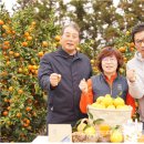 월평마을관리 사회적협동조합