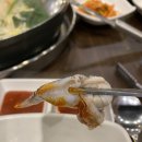 공주해물샤브 본점 | [남돈남산] 공주해물샤브 "새조개, 쭈꾸미 샤브" 솔직후기(feat. 채소 무료 추가)