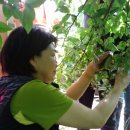 신가네사슴농장 이미지