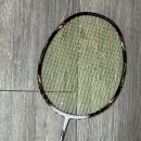 배드민턴 입문 라켓 추천, 가볍고 부담 없는 플렉스 파워 썬더80 사용 후기 🏸
