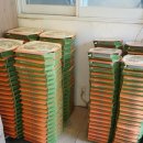 임실N 치즈피자 이미지