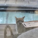 양평풍경펜션 | 양평 모노펜션 내돈내산 후기｜폭설 예보에도 떠난 이유